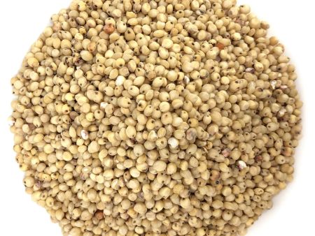 Sorghum Seeds Fashion