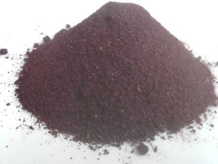 Black Chokeberry Fruit Powder (Aronia melanocarpa) Discount