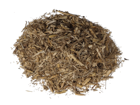 Bermuda Grass Root   (Indian doab   Dūrvā grass root), (Cynodon Dactylon) For Discount