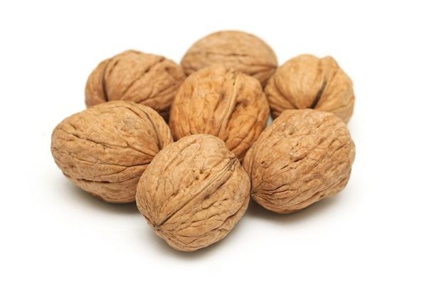 English Walnut Raw in Shell Online now