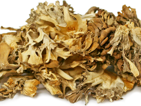 Maitake Mushroom (Hen of the Woods ) Online Sale