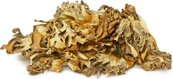 Maitake Mushroom (Hen of the Woods ) Online Sale