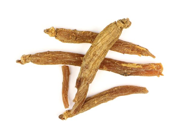 Asian Red Ginseng (Panax) Root Online now