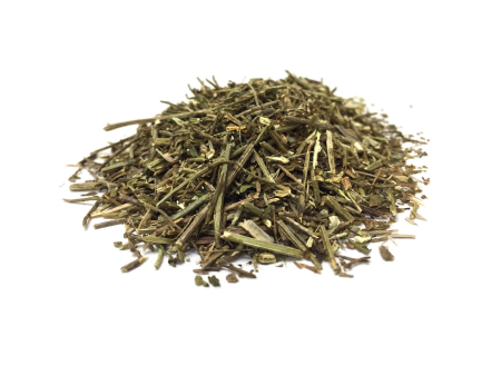 Blue Vervain Herb (Verbena officinalis) Online