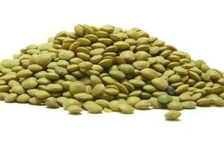 Greek Lentil, Organic For Discount