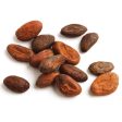 Cocoa Beans, Raw-Unpeeled, Organic on Sale