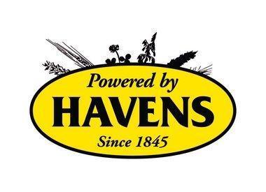 Havens Basis Sportbrok (populaire allround-brok) Online now