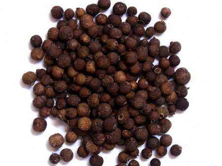 Allspice Berries (Pimenta dioica) Online Hot Sale