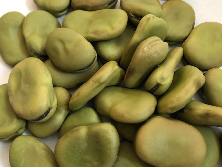 Fava Beans (Broad Beans), Green Online Sale