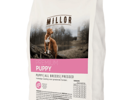 Millor Puppy Premium Pressed For Sale