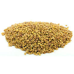 Alfalfa Sprout Powder on Sale