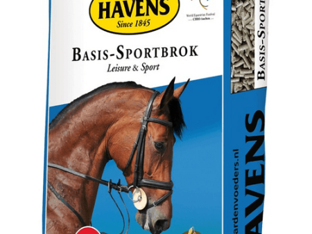 Havens Basis Sportbrok (populaire allround-brok) Online now