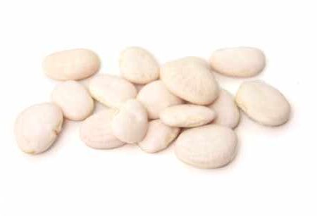 Judion Bean (Spanish Butter Bean) Online