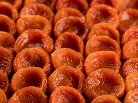 Apricot, Uzbekistan, Jumbo Sale