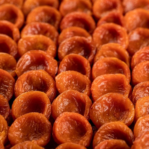 Apricot, Uzbekistan, Jumbo Sale