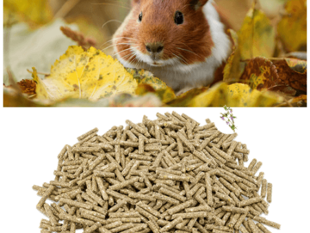 Metazoa FitRight Cavia (hoog gehalte vitamine C) For Discount