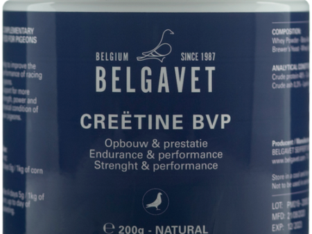 Belgavet Creëtine complex (200g) Cheap