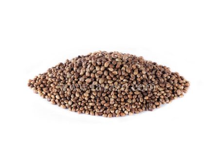 Hemp Seeds, Toasted & Salted Online