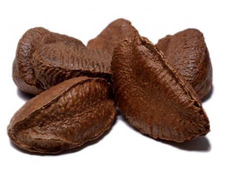 Brazil Nut, Raw in Shell Online Sale