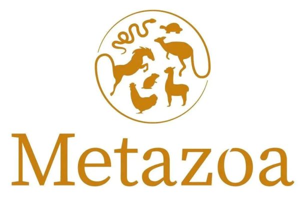 Metazoa NaturalFit HayCobs Timothee Graanvrije Slobber on Sale