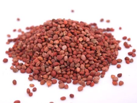 Radish Seed Online Hot Sale