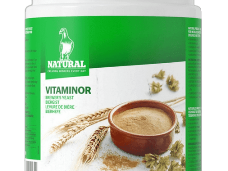 Natural Vitaminor Biergist (rijk aan aminozuren en vitamine B) Cheap