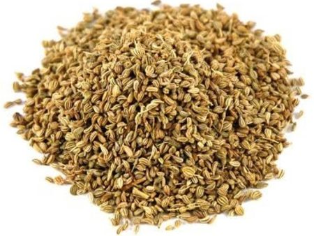 Ajwain Seed (Trachyspermum copticum)  Carom Seed Online Hot Sale