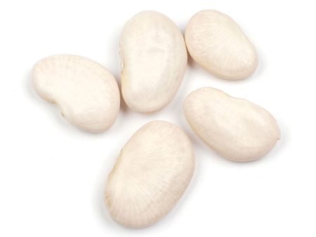 Lima Bean (Butter Bean), Large For Cheap