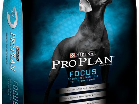 Proplan Dog Adult Senior 6+ Large Breed Bag 15.4kg Online Sale