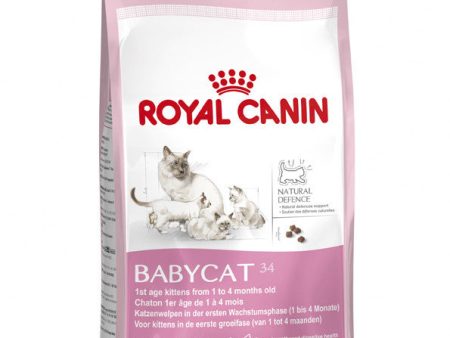 Royal Canin Mother & Babycat Supply