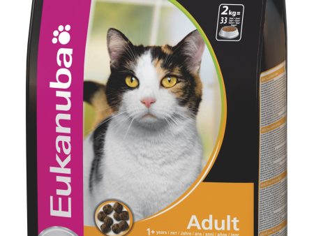 Eukanuba Cat Adult For Cheap