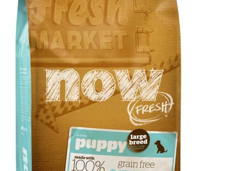 GO! & NOW Fresh Grain Free Large Breed Puppy DF Cheap