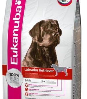 Eukanuba Labrador Online Sale